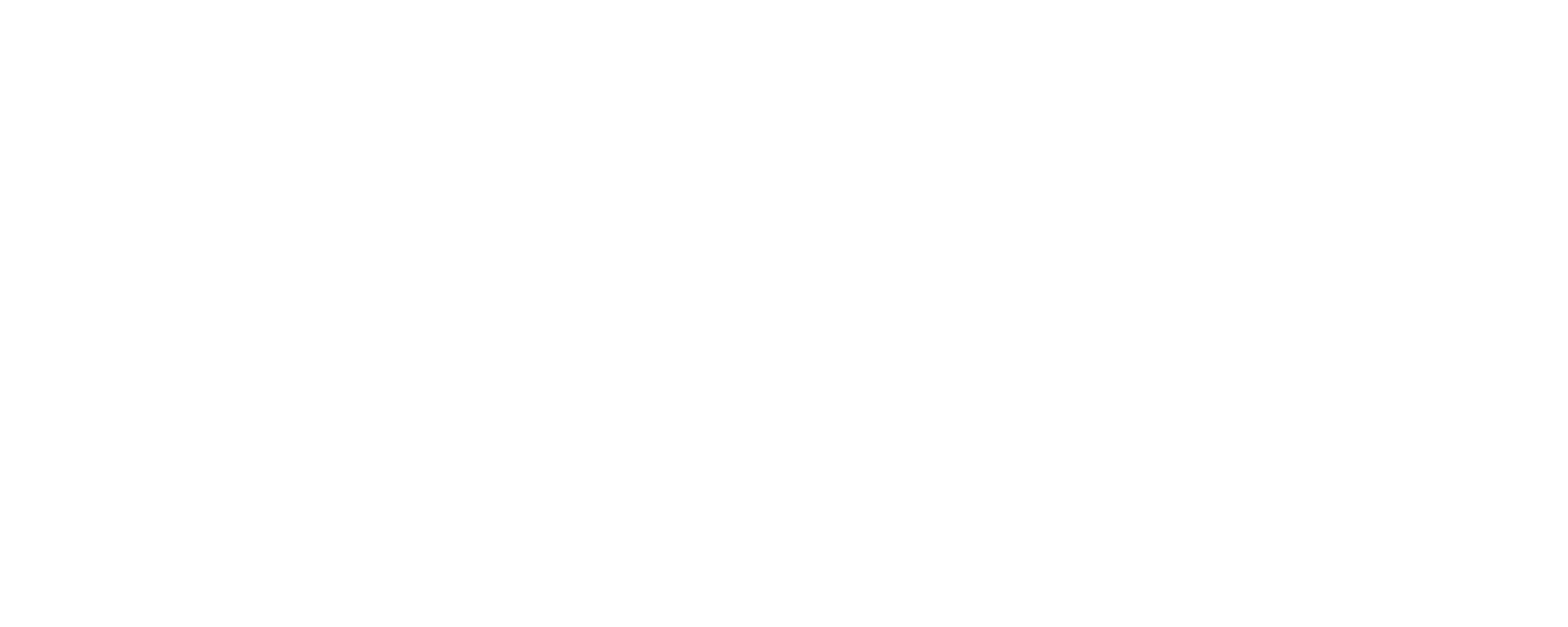 Retronejo