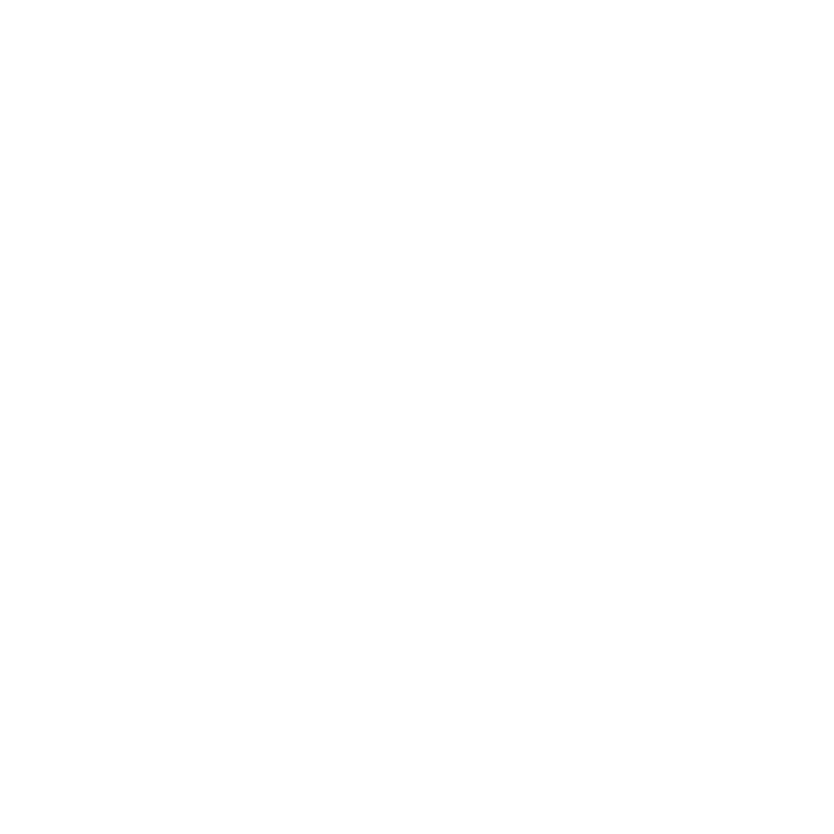 N1