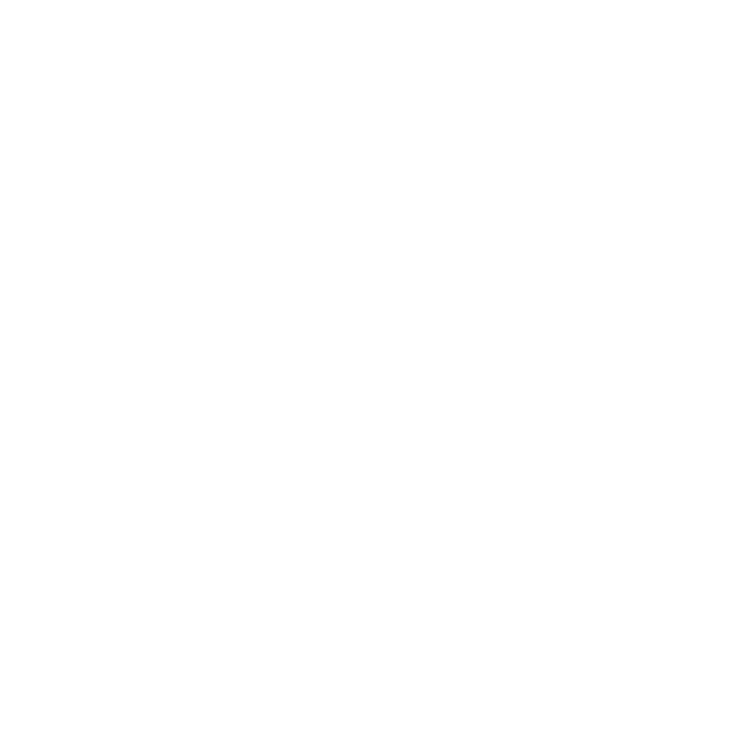 Guiche Web